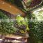 2017 hot sale vertical garden green wall artificial evergreen plant wall