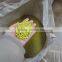 wpc Wood plastic particles