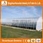 Heracles Trade Assurance tunnel greenhouse for sale