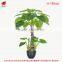 115 to 230cm Artificial Trees Dishlia Pots Plant Artificia House Plants Bonsai Tree