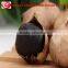 Natural fermented single clove black garlic preventing blood sugar
