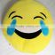 35cm Hot selling emoji cushion customized emoji pillow OEM emoji cushion