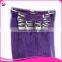 Top Quality Easy Clips Hair Extensions 100% Brazilian Remy Hair Extension Clip In