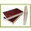 pass CE authentication poplar core 1220*2440 commercial plywood