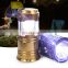 2 in 1 Handle Torch Fold Wild Night Hunting Work LED Hook Lantern Camping Light