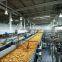 Shanghai FACTORY small scale frozen french fries production line/pringles potato chips making machine with best price