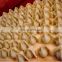 automatic momo dumpling maker samosa making machine dumpling industrial dumpling making machine