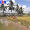 Cheapest price mini rice combine harvester / rice reaper working in muddy field