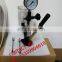 S60H Diesel Injector Nozzle Pop Tester with 0- 600 BAR