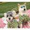 Dog Clothes Leopard Print T-shirt Summer Thin Breathable Pet Shirt Corgi Teddy Schnauzer Pomeranian Clothing