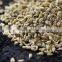 High Grade Organic Ajwain Seeds From India