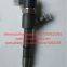 CNDIP Common Rail Fuel Injector 0 445 110 313 0445110313 Auto Engine Fuel System Injector