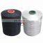 High strength Twisted Pp Yarn 600D