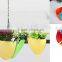4 Pcs Hanging Chain Planter Indoor Outdoor Basket Flower Plant Pot Planter (4 in 1)