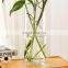 K&B modern tall clear glass cylinder vase various sizes tall glass vase for wedding