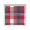 Red and white checked yarn-dyed poplin  New Development Design 100%Cotton Yarn Dye yarn-dyed fabric for shirt