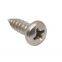Pan Head Self Tapping Screw