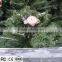 pretty charming outdoor christmas tree led lights