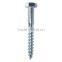 Hex Coach Wood Screw Lag Screw