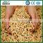 coconut husk factory price machine for Livestock poultry