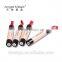 ANGEL MASK No. AM7302 Eyebrow Growth Cream / EYEBROW DYE 5.5ml , 4 Colors