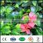 UV protected plastic artificial green garden leaf fence
