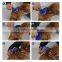 Pet Rake Comb Dog Fur Deshedding Tool For Dogs And Cats