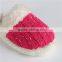 Woman Knitted Indoor Slipper With Sequins