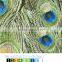 peacock feather printed high quality printed swimwear fabric