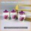Hot Sale Top Quality Best Price Cruet Condiment Sets