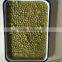 best price!!canned green peas 300g 340g 400g 425g 3000g Canned green peas for nice dishes supplied directly by FDA factory
