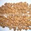 Supply with Chinese New Crop Bitter Apricot Kernels with Good Quality for Sales