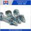 wedge anchor bolt with nut / Through Bolt M20 x 200mm