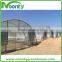 Economical Tunnel Greenhouse