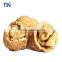 TTN Chinese Organic Raw Walnuts in Shell Price Walnut