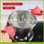 Silicone Pot Holder Assorted Colors Oven Mini Mitt Set of 2 Cooking Pinch Grips