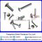 Round Head Square Neck Carriage bolts DIN 603