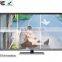 OEM Cheaper 50 Inch Lcd Full HD Smart Led tv