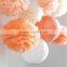 Hanging Decorations Little Bee - 7 Tissue Paper Pom Poms and 3 Paper Lantern - Fast Shipping - Wedding / Baby Shower / Party /