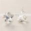 Latest Trends Earrings Diamond Rotatable Star Silver Earring Custom Logo Earrings