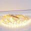 promotion best selling led strip light Epiatar cheape 2835 led strip 5m 12v/24v white flexible led strip light 2835