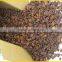 NATURAL STAR ANISEED/ STAR ANISE (Viber/Whatsaap: +84965152844)