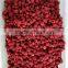 2016 delicious raspberry IOF