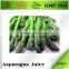 alibaba china Asparaguse Extract juice powder
