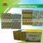 Best Selling Krill Oil softgel