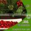 cranberry extract cas no 84082-34-8 Biggest Supplier U.S.A Import Proanthocyanidins 5%-70% UV,HPLC,DMAC Kosher Halal