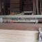 Packing Plywood 2.5 up to 4.6mm, Grade BC, MR Glue