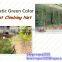 Hot Sale Best Price Plant Support Net/fagioli e piselli rete