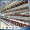 30 Years' factory supply battery chicken laying coop