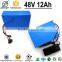 Wholesale OEM li-ion battery pack nimh battery pack for Electric Vehicle with BMS Charger